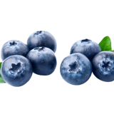 blueberries-with-leaves-2023-11-27-05-32-29-utc