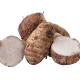 boiled-taro-root-on-a-white-background-2023-11-27-05-01-21-utc