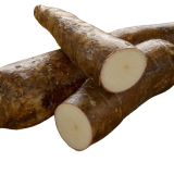 cassava-roots-2023-11-27-04-58-55-utc