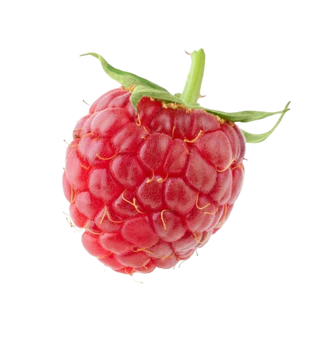 Raspberries