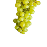 tasty-green-grapes-white-grape-2023-11-27-05-11-23-utc