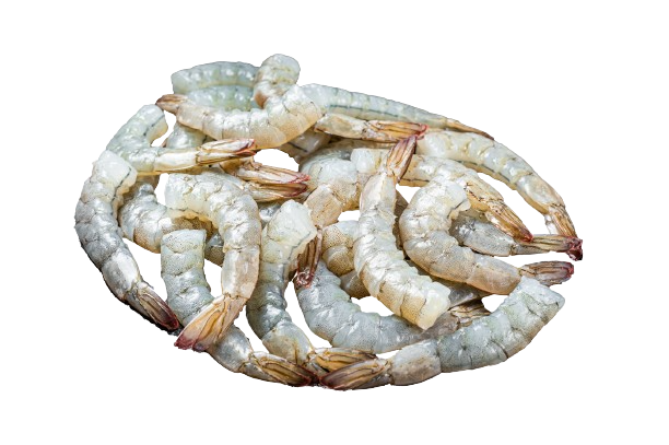 Black Tiger Shrimp