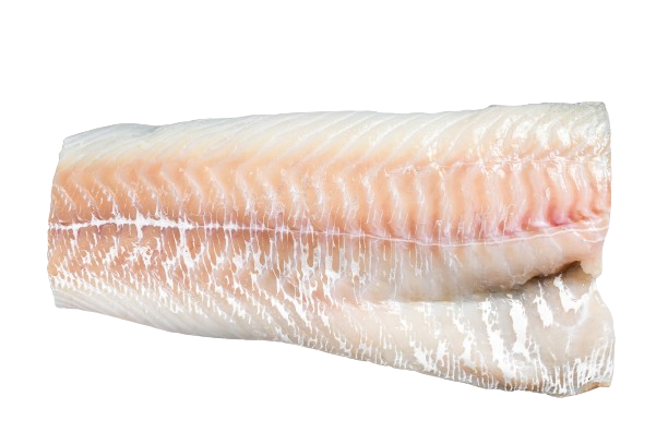 Cod Fish