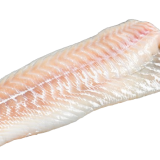 raw-norwegian-skrei-cod-fish-fillet-isolated-on-2023-11-27-05-32-07-utc