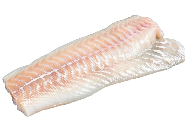 Cod Fish